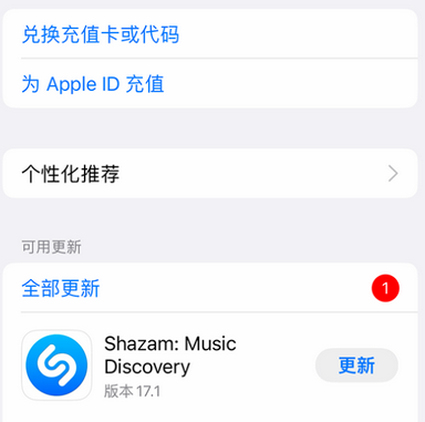 林州林州苹果维修分享无法在iPhone上下载或更新应用办法